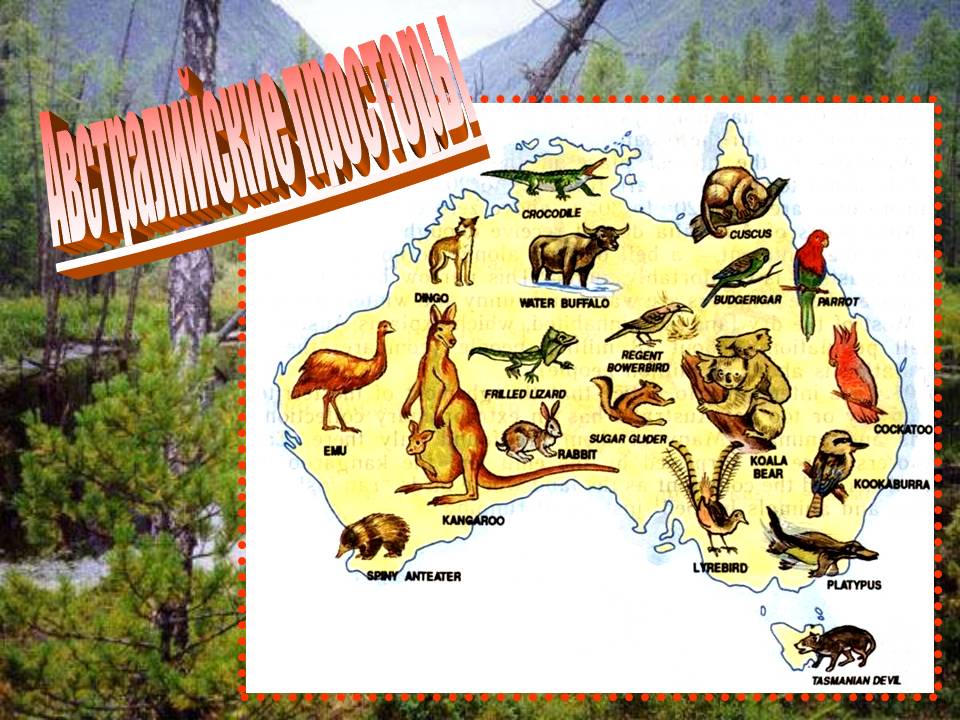 Животные Австралии - Презентации по биологии