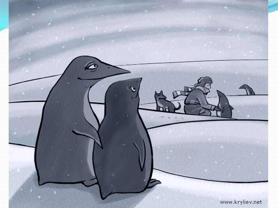 Поднимать пингвинов в антарктиде вакансии. Переворачиватель пингвинов профессия. Переворачивание пингвинов. Пингвин перевернулся. Пингвины переворачиватель пингвинов.