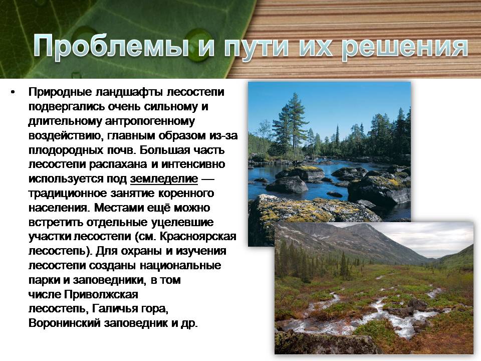 Как человек воздействует на лесостепи и степи. Экологические проблемы степей и лесостепей. Экологические проблемы Степной и лесостепной зоны. Экологические проблемы лесостепи. Экологические проблемы лесостепи и степи в России.