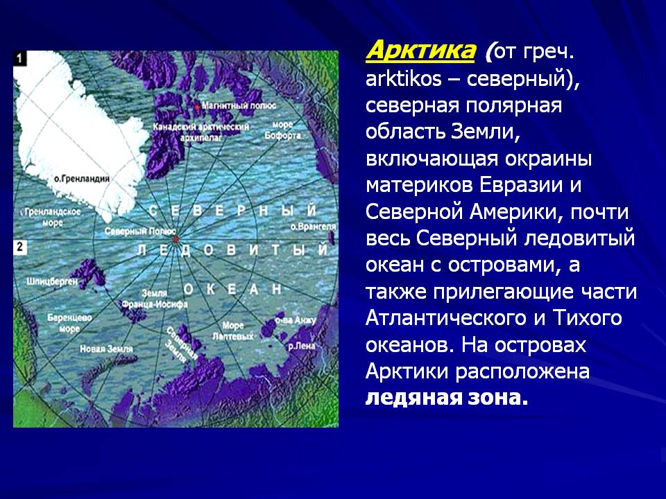 Зона расположена вдоль побережья северного ледовитого океана. Арктика презентация. Презентация на тему Арктика. Презентация по Арктике. Моря Северного Ледовитого океана.
