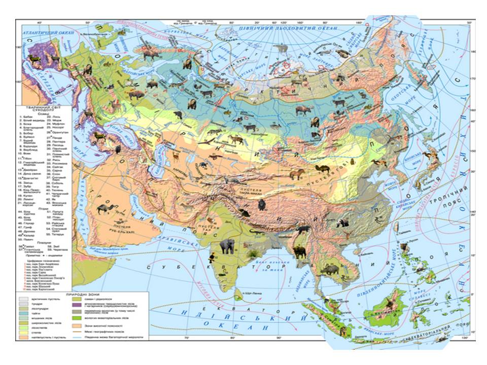 Природно климатические зоны евразии. Природные зоны материка Евразия. Карта природных зон Евразии. Природные зоны евраззи. Растения природных зон Евразии.
