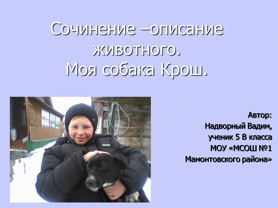 Описание собаки 5 класс русский язык. Сочинение на тему моя собака. Сочинение на тему животного. Описание мое любимое животное. Сочинение мой домашний питомец собака.