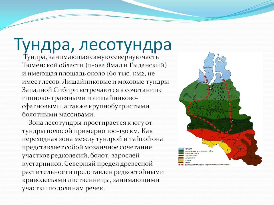 Сибирь презентация 9 класс география