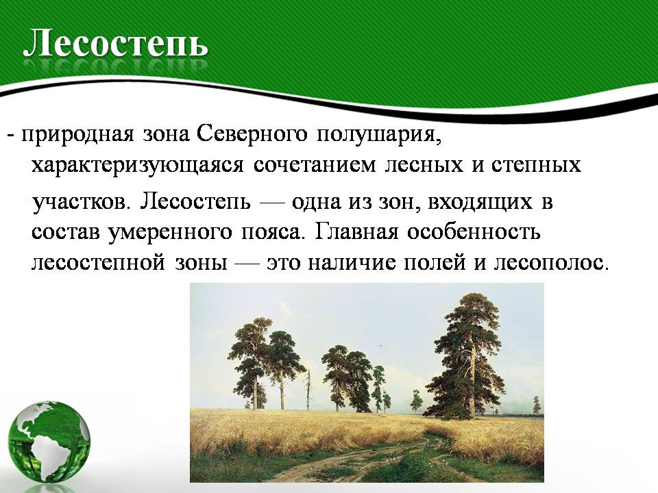 Степи и лесостепи отличаются богатством климатических ресурсов. Природные условия лесостепи. Лесостепная зона презентация. Лесостепь доклад. Презентация на тему лесостепи.