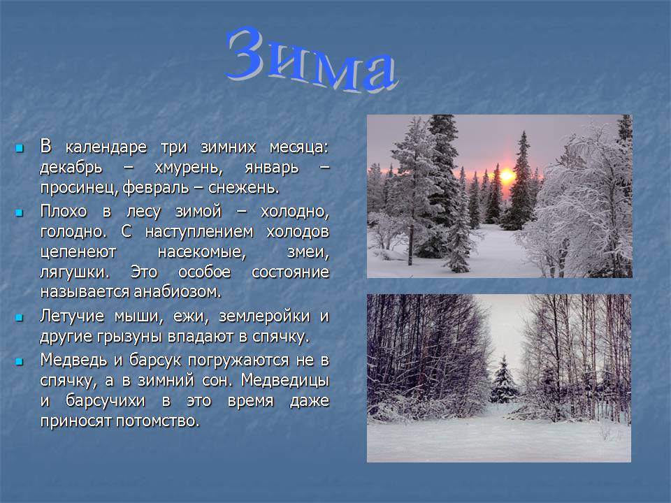 Описание декабря месяца. Рассказ о зиме. Красивое описание зимы. Рассказ про зимний лес. Описание природы зима.