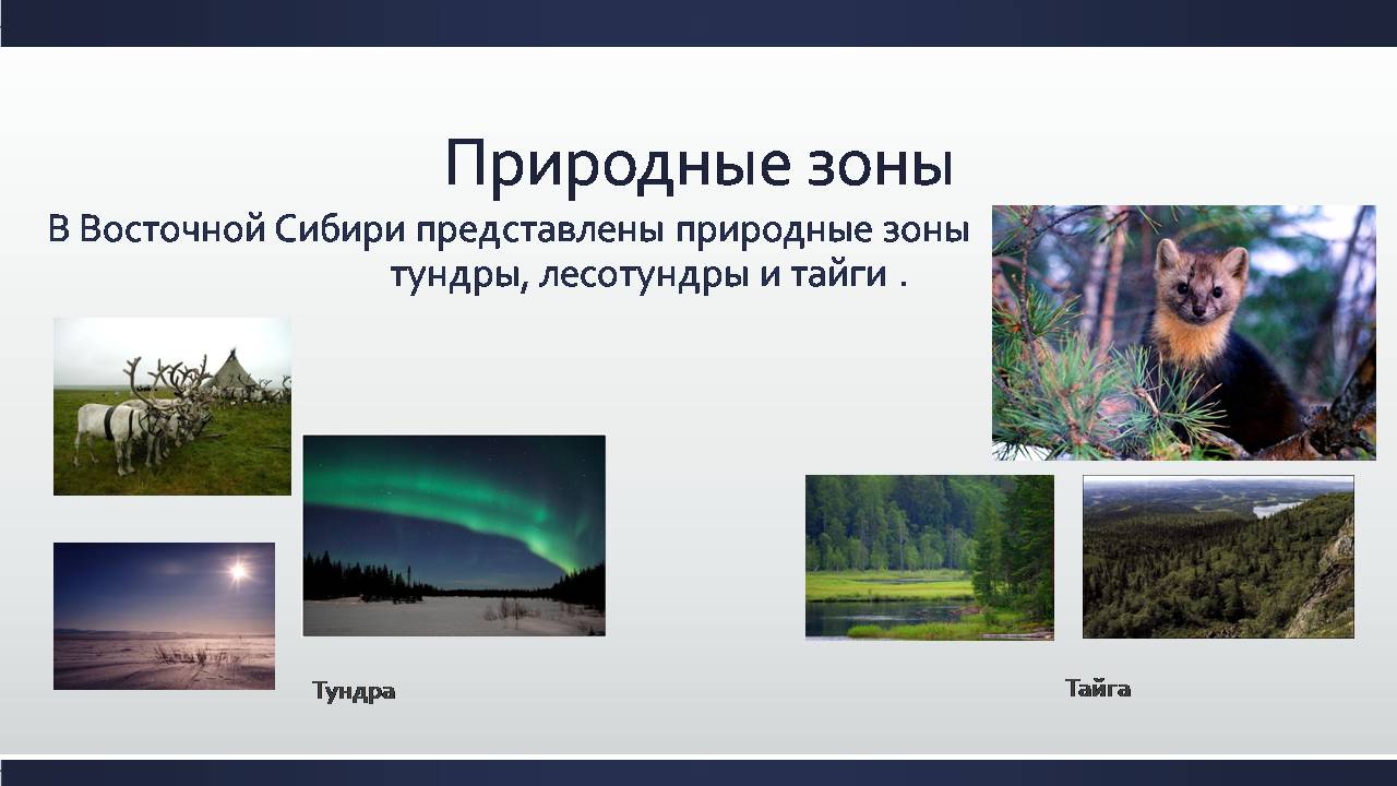 Какая природная зона отсутствует в сибири. Северная Восточная Сибирь природные зоны. Природные зоны Восточно сибирской тайги. Природные зонывосточнойчибир. Природные зоны Западной Сибири.