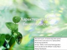 Характеристика биогеоценоза