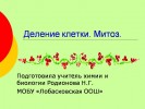 Митоз. Деление клетки