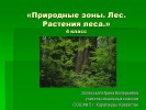 Природные зоны. Лес. Растения леса