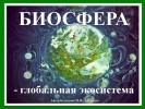 Биосфера как глобальная экосистема
