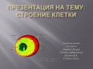 Строение клетки