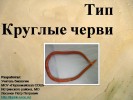 Тип Круглые черви