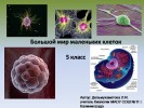 Большой мир маленьких клеток