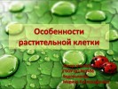 Особенности растительной клетки